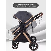 Универсальная коляска Rant Basic Roller Gold RA161 (2 в 1, grey) - Превью изображения №7 — Интернет-магазин ПроЗаказ