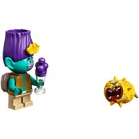 Конструктор LEGO Trolls 41253 Приключение на плоту в Кантри-тауне - Превью изображения №15 — Интернет-магазин ПроЗаказ