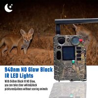 Фотоловушка BolyGuard BG410-MS - Превью изображения №5 — Интернет-магазин ПроЗаказ