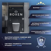 Унитаз подвесной Roxen Antares Tornado 530205-01 - Превью изображения №9 — Интернет-магазин ПроЗаказ