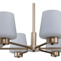 Подвесная люстра Indigo Light Tulip V000001 - Превью изображения №3 — Интернет-магазин ПроЗаказ