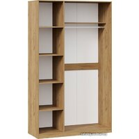 Шкаф распашной Трия Хилтон комбинированный (дуб крафт золотой/графит матовый) - Превью изображения №4 — Интернет-магазин ПроЗаказ