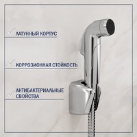 Умывальник Lauter 21478 + Spray 21CK308C с сифоном 21635CH (хром) - Превью изображения №9 — Интернет-магазин ПроЗаказ