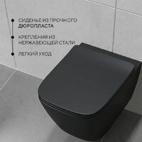 Унитаз подвесной Lauter Magdeburg 21103EC + AM.PM PrimeFit I012709.0151 (черный матовый хром глянцевый, с кнопкой смыва) - Превью изображения №3 — Интернет-магазин ПроЗаказ