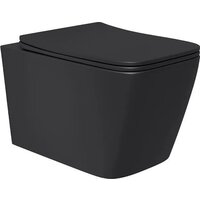 Унитаз подвесной Lauter Magdeburg 21103EC + AM.PM PrimeFit I012709.0151 (черный матовый хром глянцевый, с кнопкой смыва) - Превью изображения №18 — Интернет-магазин ПроЗаказ