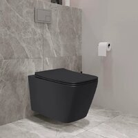 Унитаз подвесной Lauter Magdeburg 21103EC + AM.PM PrimeFit I012709.0151 (черный матовый хром глянцевый, с кнопкой смыва) - Превью изображения №14 — Интернет-магазин ПроЗаказ