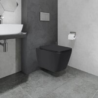 Унитаз подвесной Lauter Magdeburg 21103EC + AM.PM PrimeFit I012709.0151 (черный матовый хром глянцевый, с кнопкой смыва) - Превью изображения №12 — Интернет-магазин ПроЗаказ