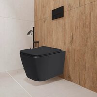 Унитаз подвесной Lauter Magdeburg 21103EC + AM.PM PrimeFit I012709.0151 (черный матовый хром глянцевый, с кнопкой смыва) - Превью изображения №16 — Интернет-магазин ПроЗаказ
