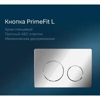 Унитаз подвесной Lauter Magdeburg 21103EC + AM.PM PrimeFit I012709.0151 (черный матовый хром глянцевый, с кнопкой смыва) - Превью изображения №10 — Интернет-магазин ПроЗаказ