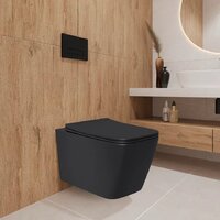 Унитаз подвесной Lauter Magdeburg 21103EC + AM.PM PrimeFit I012709.0151 (черный матовый хром глянцевый, с кнопкой смыва) - Превью изображения №17 — Интернет-магазин ПроЗаказ