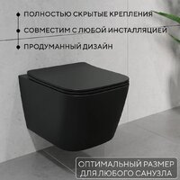 Унитаз подвесной Lauter Magdeburg 21103EC + AM.PM PrimeFit I012709.0151 (черный матовый хром глянцевый, с кнопкой смыва) - Превью изображения №5 — Интернет-магазин ПроЗаказ