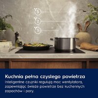 Кухонная вытяжка Electrolux LFG916K - Превью изображения №3 — Интернет-магазин ПроЗаказ