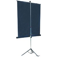 Проекционный экран Lumien Master View 127x127 (LMV-100101) - Превью изображения №2 — Интернет-магазин ПроЗаказ