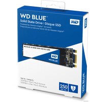 SSD WD Blue 3D NAND 250GB [WDS250G2B0B] - Превью изображения №2 — Интернет-магазин ПроЗаказ