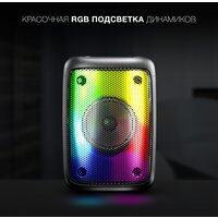 Беспроводная колонка Hyundai H-PS1006 - Превью изображения №7 — Интернет-магазин ПроЗаказ