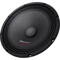 Среднечастотная АС Pioneer TS-M2010PRO - Превью изображения №2 — Интернет-магазин ПроЗаказ