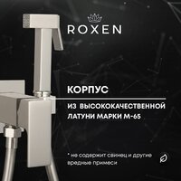 Гигиенический душ Roxen Caspia 50096000-BN - Превью изображения №5 — Интернет-магазин ПроЗаказ