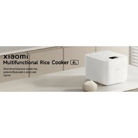 Рисоварка Xiaomi Multifunctional Rice Cooker 4L MFB090-1 (евровилка) - Превью изображения №2 — Интернет-магазин ПроЗаказ