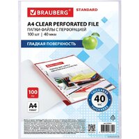 Набор файлов BRAUBERG STANDARD 229661 (100 шт) - Превью изображения №4 — Интернет-магазин ПроЗаказ