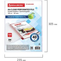Набор файлов BRAUBERG STANDARD 229661 (100 шт) - Превью изображения №7 — Интернет-магазин ПроЗаказ