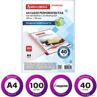 Набор файлов BRAUBERG STANDARD 229661 (100 шт) - Превью изображения №2 — Интернет-магазин ПроЗаказ