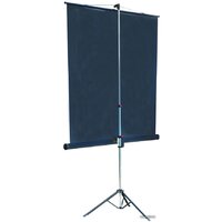 Проекционный экран Lumien Master View 153x153 (LMV-100102) - Превью изображения №2 — Интернет-магазин ПроЗаказ