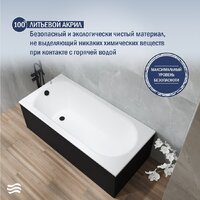 Ванна Lauter Haven 160 21202006 (с ножками, черным подголовником и черным лиц.экраном) - Превью изображения №4 — Интернет-магазин ПроЗаказ