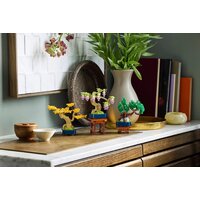 Конструктор LEGO The Botanical Collection 10373 Мини-деревья бонсай - Превью изображения №10 — Интернет-магазин ПроЗаказ