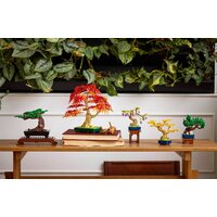 Конструктор LEGO The Botanical Collection 10373 Мини-деревья бонсай - Превью изображения №11 — Интернет-магазин ПроЗаказ