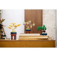 Конструктор LEGO The Botanical Collection 10373 Мини-деревья бонсай - Превью изображения №9 — Интернет-магазин ПроЗаказ