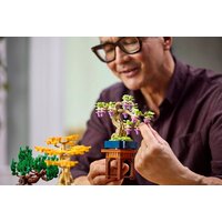 Конструктор LEGO The Botanical Collection 10373 Мини-деревья бонсай - Превью изображения №12 — Интернет-магазин ПроЗаказ