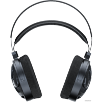 Наушники FiiO FT3 350 Ом - Превью изображения №2 — Интернет-магазин ПроЗаказ