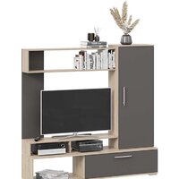 Трия Сиена (дуб сонома/графит серый)