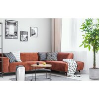 Осушитель воздуха Funai Neko S RAD-N10F3E - Превью изображения №9 — Интернет-магазин ПроЗаказ