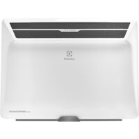 Отопительный модуль конвектора Electrolux Air Gate ECH/AG2-1000 T - Превью изображения №2 — Интернет-магазин ПроЗаказ