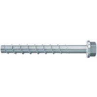 Fischer FBS II US ОЦ 10x160 105/95/75 мм 536865 (50 шт)